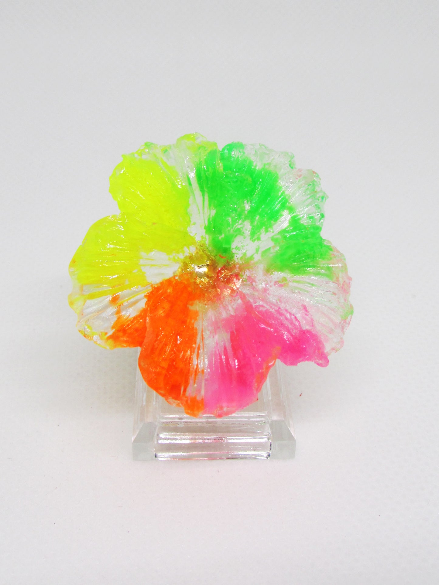 TROPICAL TOCO FUSION RING